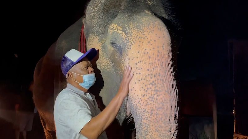 Dojatý ošetřovatel se po 18 letech shledal s ukradeným slonem